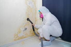 Trusted Fort Valley, GA Mold Removal & Remediation Experts